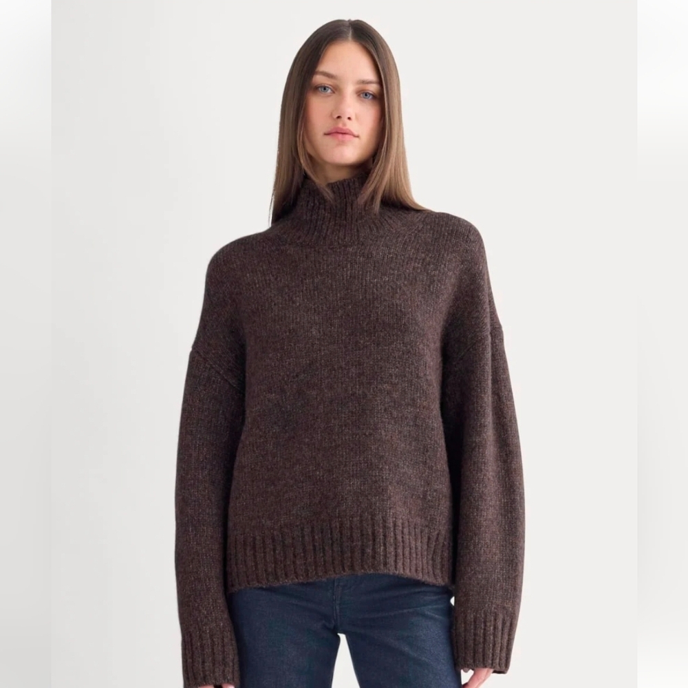 Everlane The Cloud Oversized Turtleneck Sweater